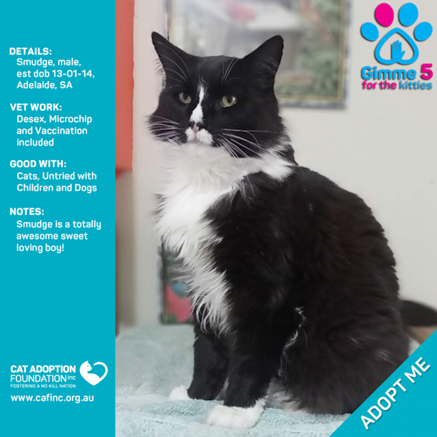 Photo of Smudge