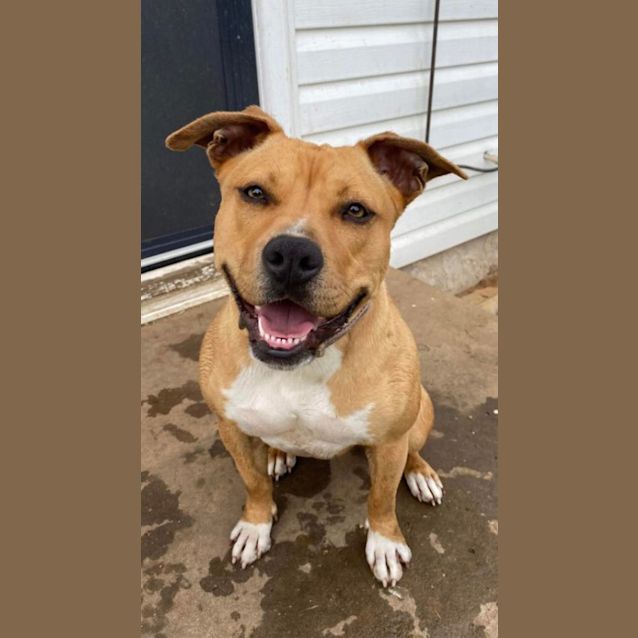 Photo of Roxy