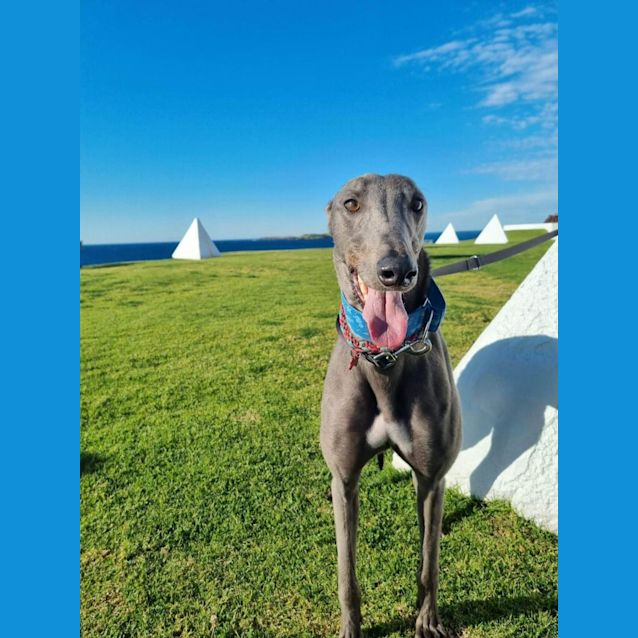 Photo of Maui
