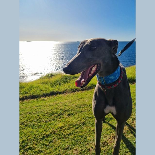 Photo of Maui