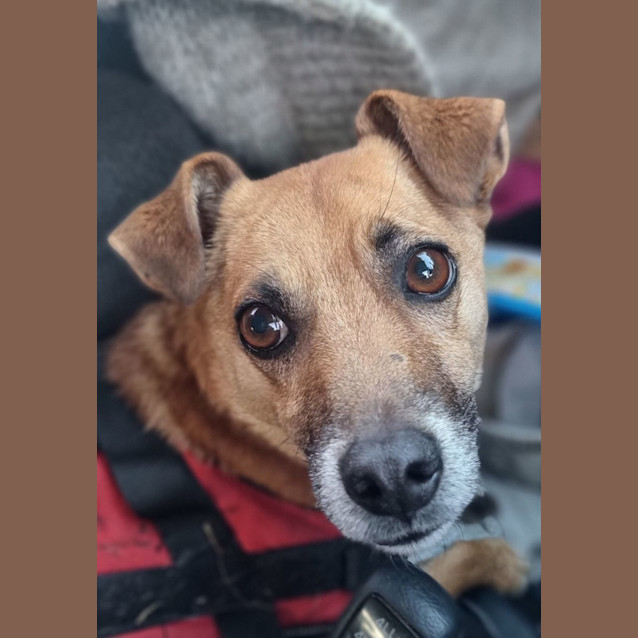 Photo of Paddy Patterson