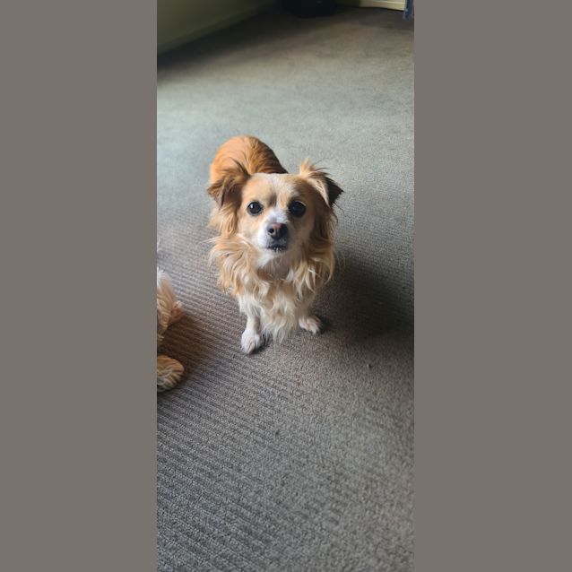 Photo of Addy (Was Abby)