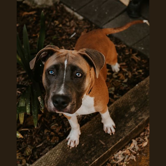 Photo of Cash