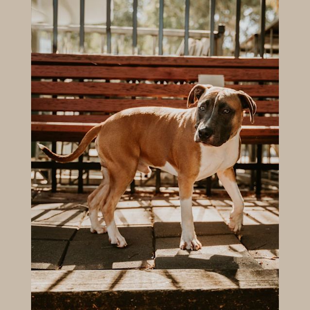Photo of Cash