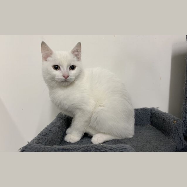 Photo of Cloud