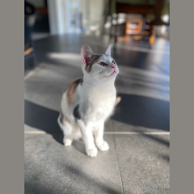 Photo of Saskia Aka 'Sassy Doo Dah' 🌸🐈‍⬛