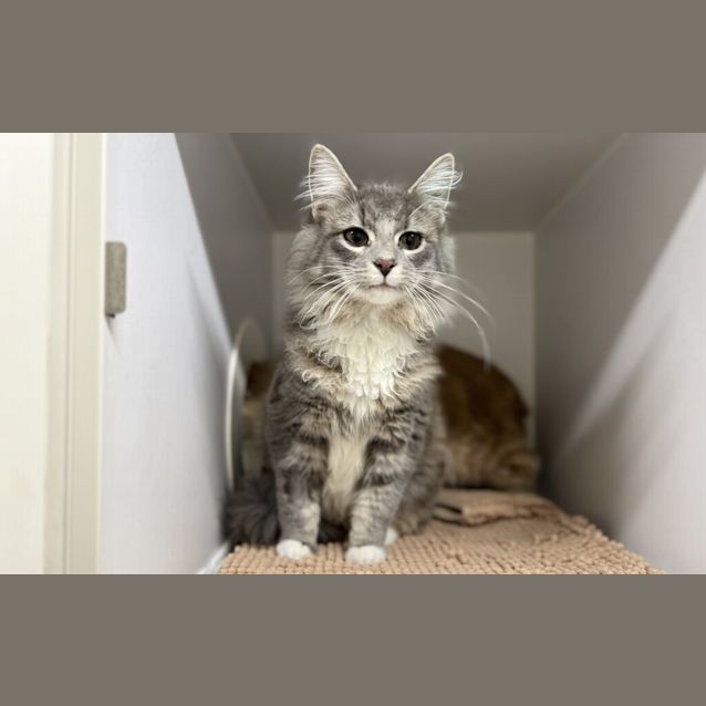 Photo of Tommy
