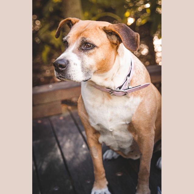 Photo of Tess