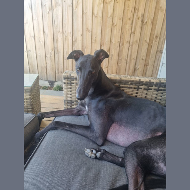 Photo of Willy