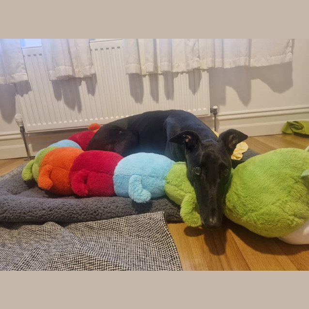 Photo of Willy