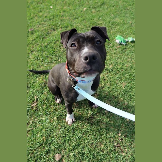 Photo of Dutchess