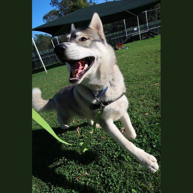 Photo of Waya