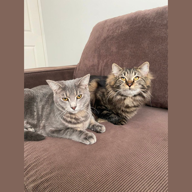 Photo of Junior & Blossom 💙🌸