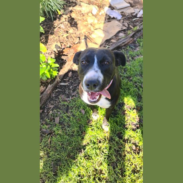 Photo of Tiny Dancer