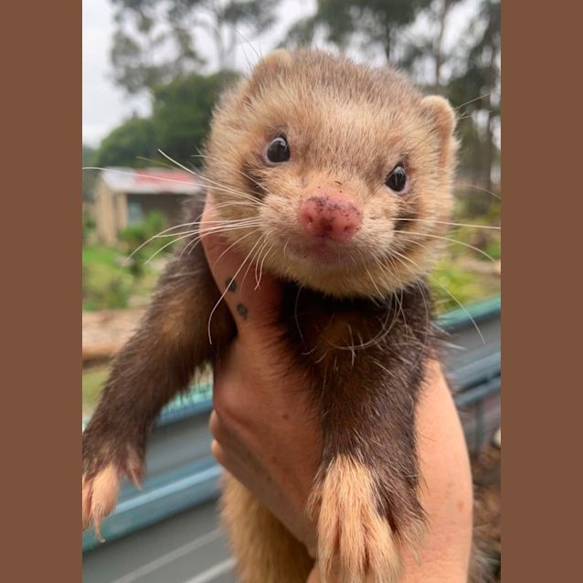 Photo of Jensen & Beckett
