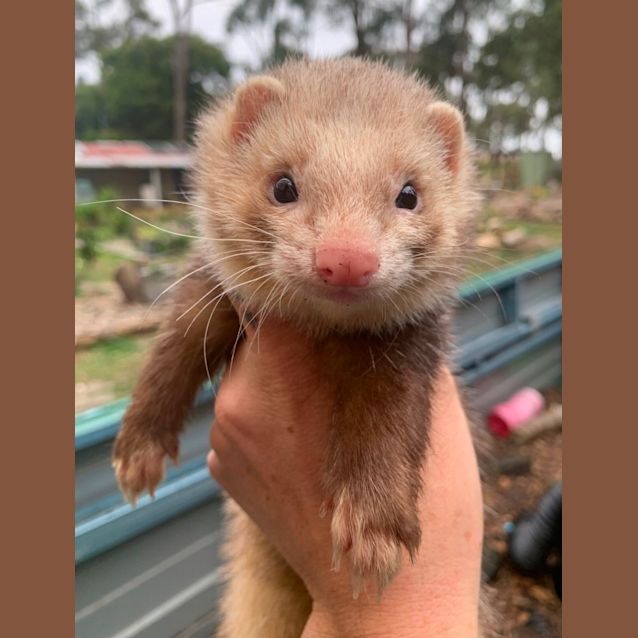 Photo of Jensen & Beckett