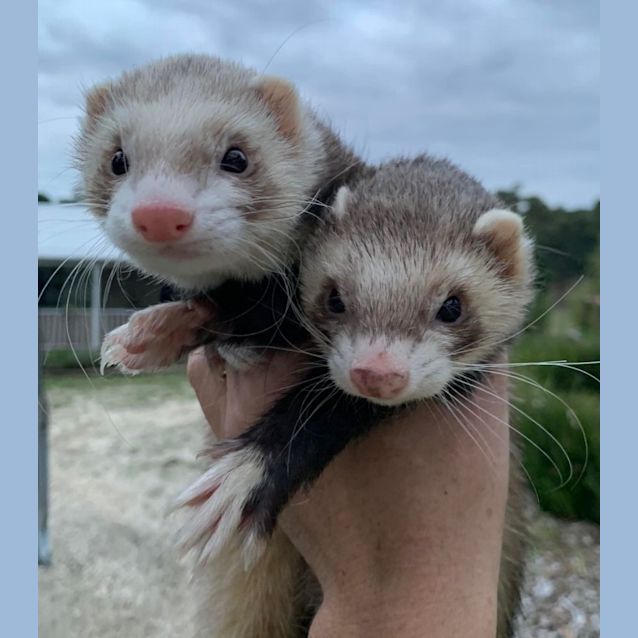 Photo of Jensen & Beckett