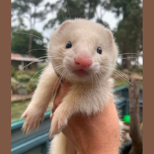 Photo of Odette & Helena