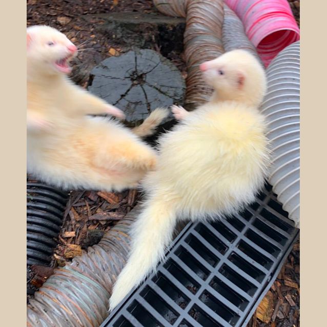 Photo of Odette & Helena