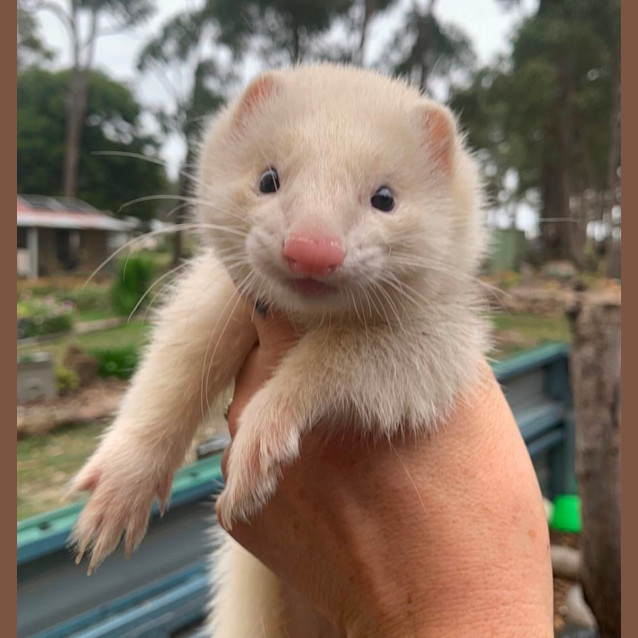 Photo of Odette & Helena