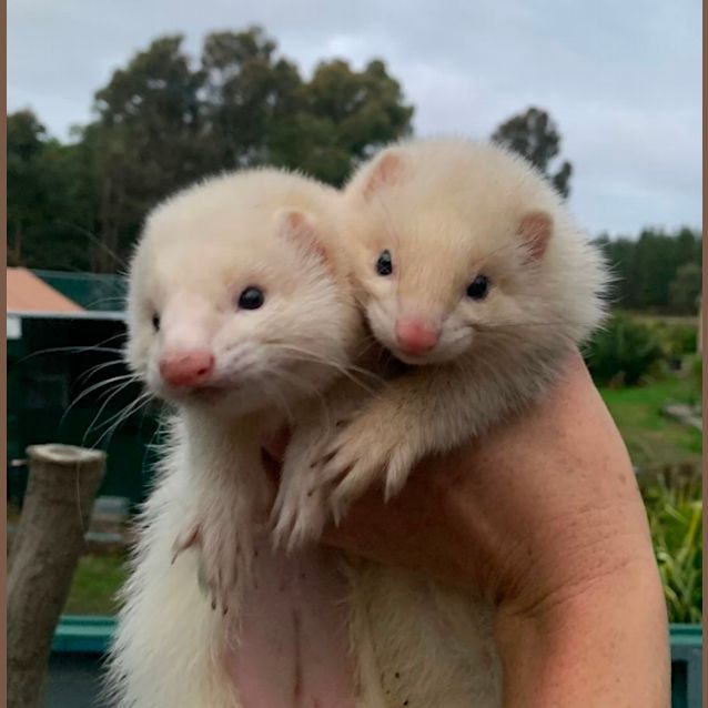 Photo of Odette & Helena