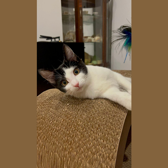 Photo of Miss Elle