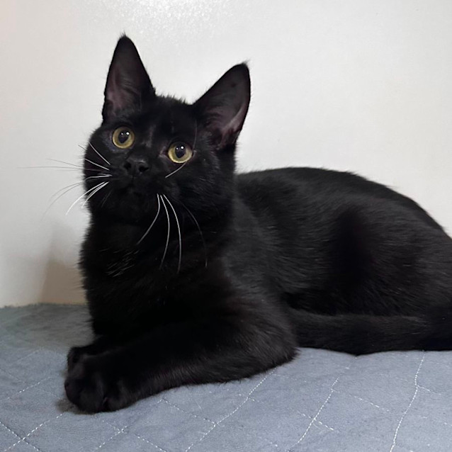 Photo of Wally   Located In Preston 