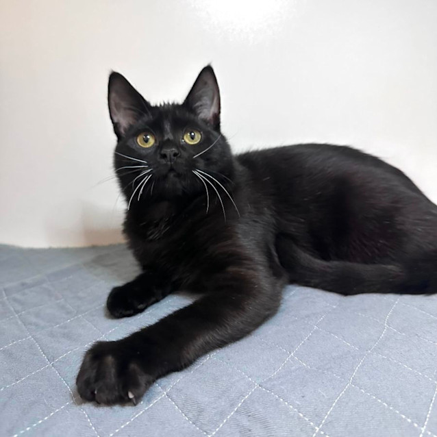 Photo of Wally   Located In Preston 