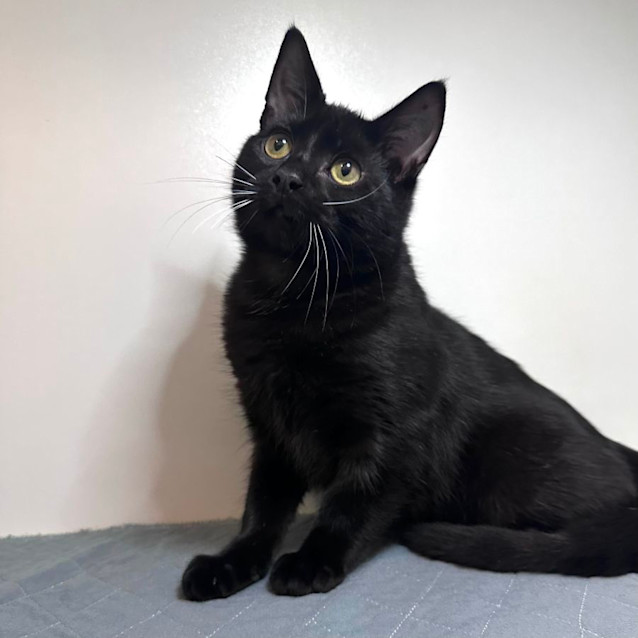 Photo of Wally   Located In Preston 