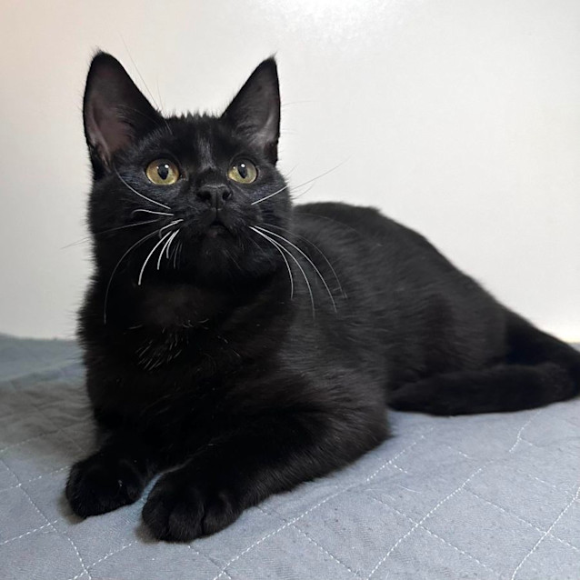 Photo of Wally   Located In Preston 