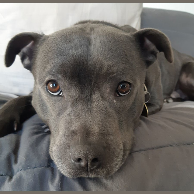 Photo of Rand
