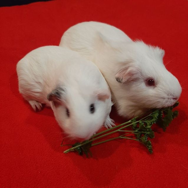 Photo of Faith & Buffy