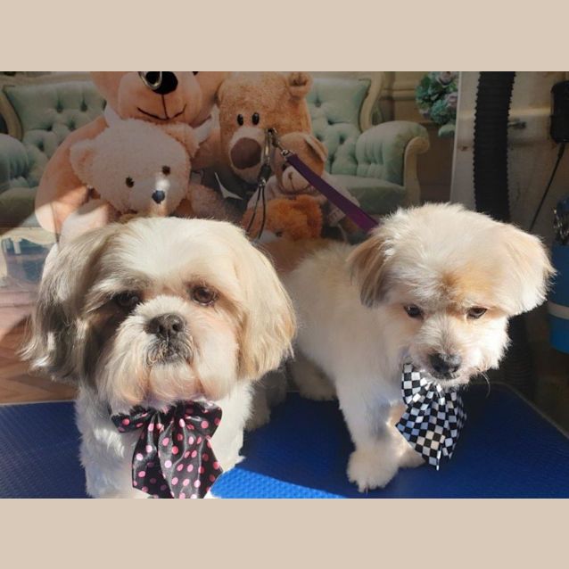 Photo of Benjie And Louie Speranza