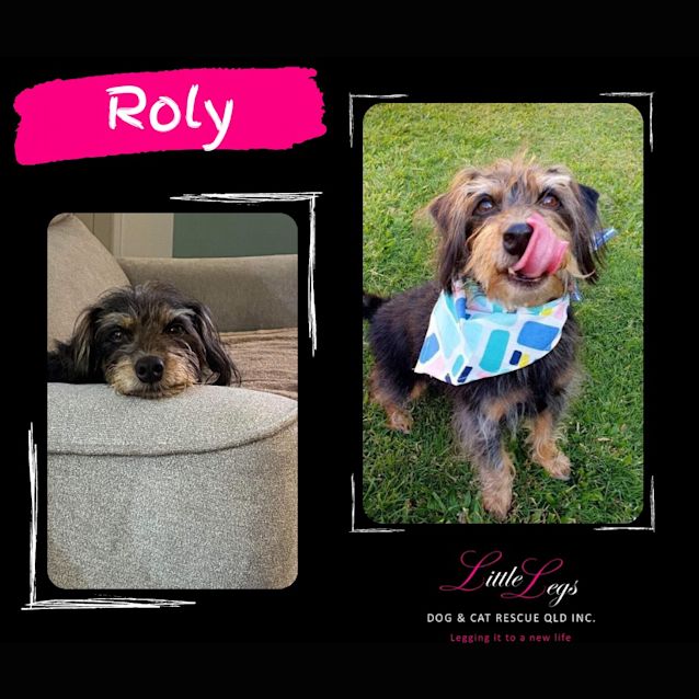 Photo of Roly