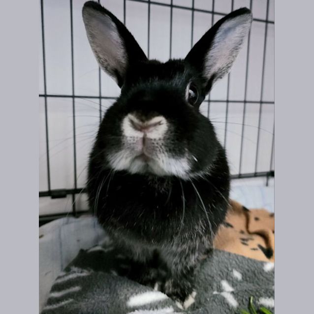 Photo of Bonnie