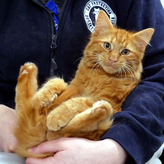 Photo of Loki Suk011456