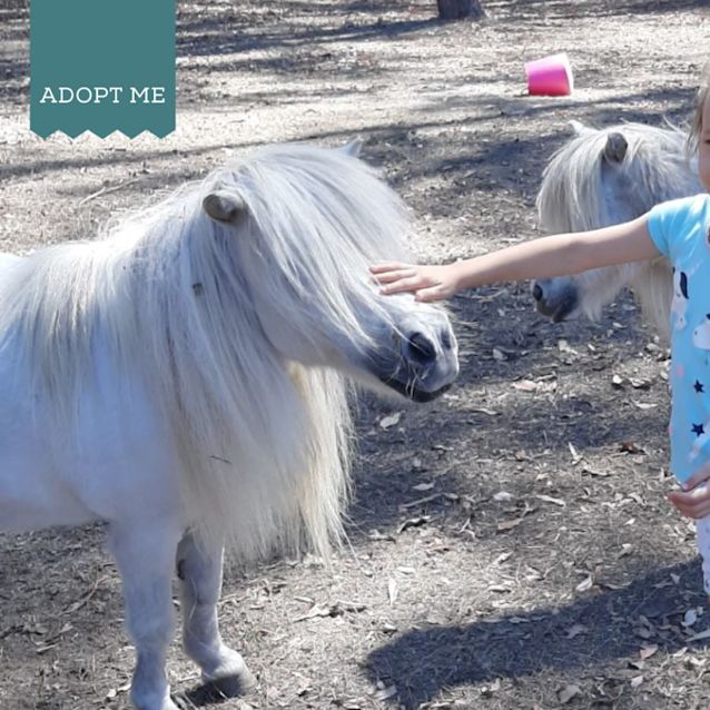 Photo of Arabella And Rani