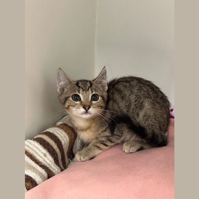 Photo of Gus Gus