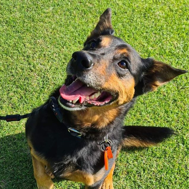 Photo of Max