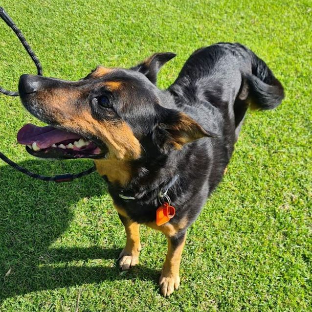 Photo of Max