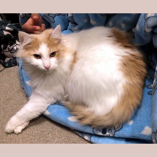 Photo of Brian Sta011080