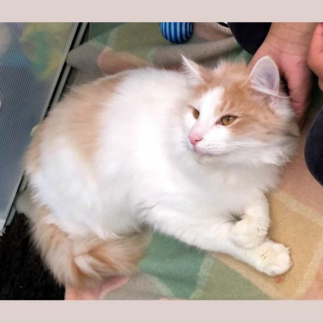 Photo of Brian Sta011080