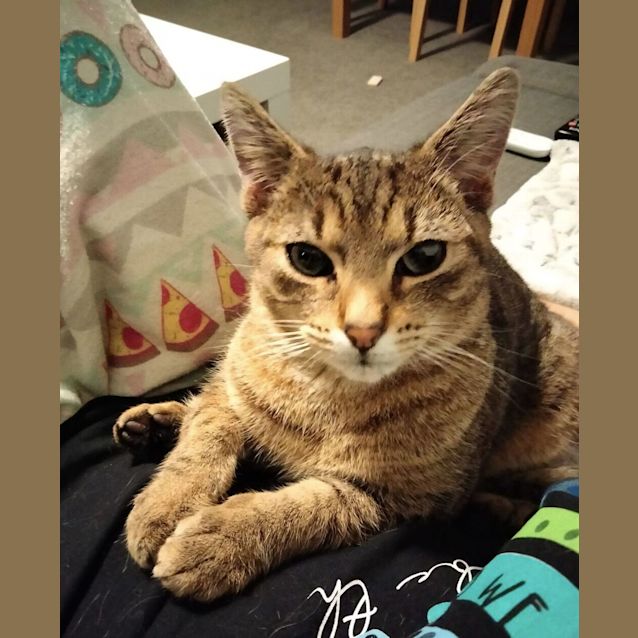 Photo of Jasper