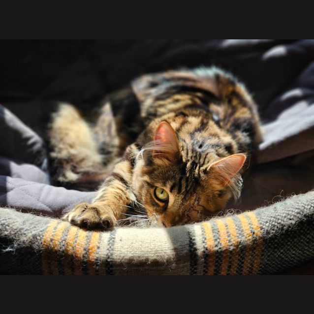 Photo of Pirate Bonny