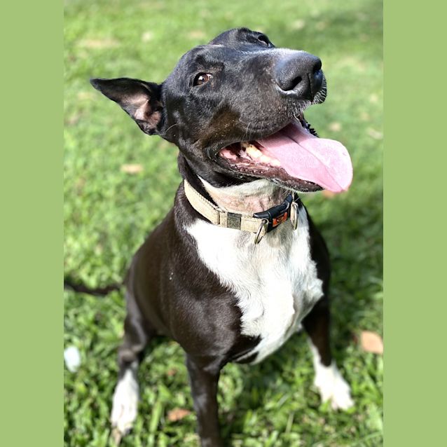 Photo of Lucy