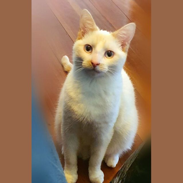 Photo of Ginkgo & Elton