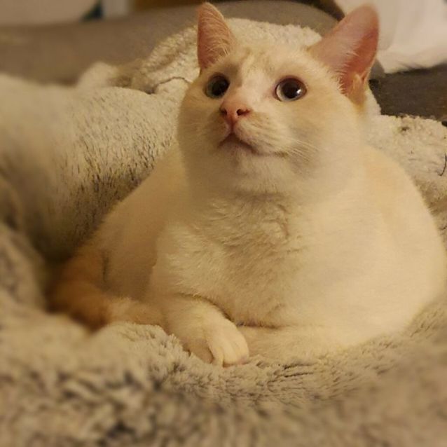 Photo of Ginkgo & Elton