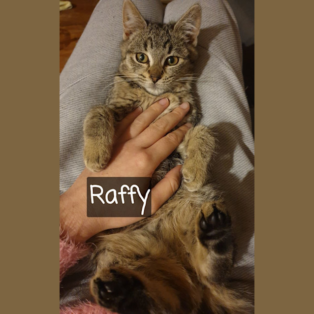 Photo of Raffy