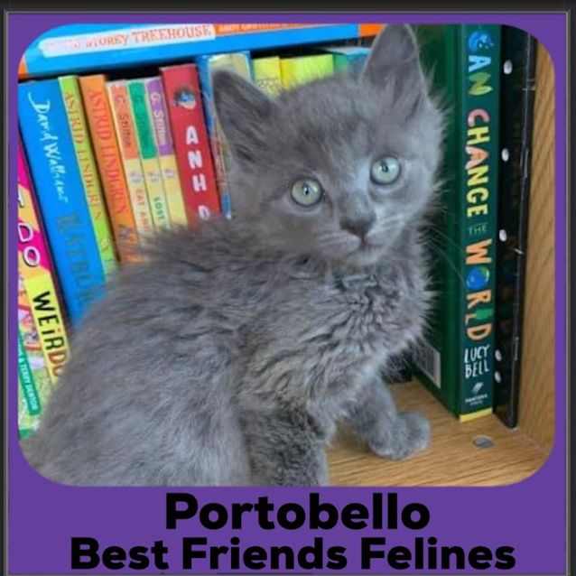 Photo of Portobello