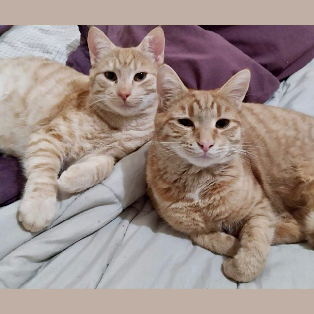 Photo of Mali & Taeko